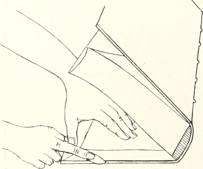 An illustration from International studio, 1897, leaf 419