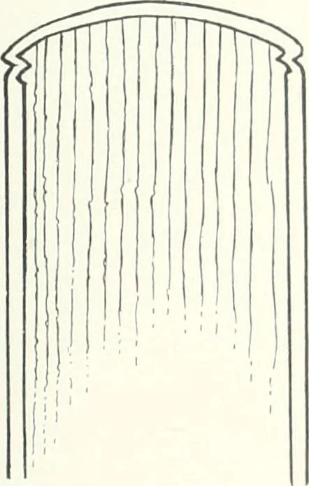 An illustration from International studio, 1897, leaf 468