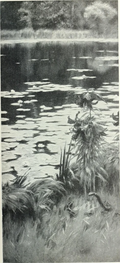 An illustration from International studio, 1897, leaf 84