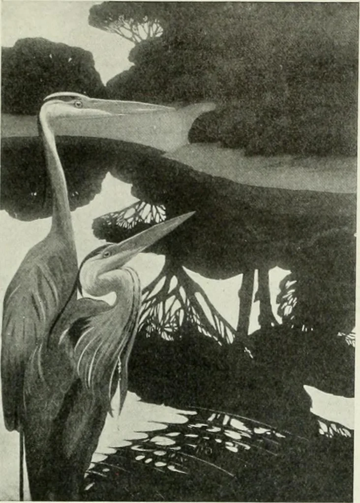 An illustration from International studio, 1897, leaf 100