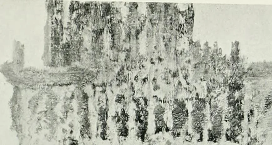An illustration from International studio, 1897, leaf 111