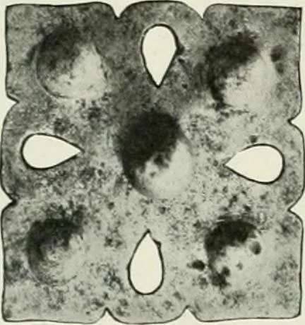 An illustration from International studio, 1897, leaf 146