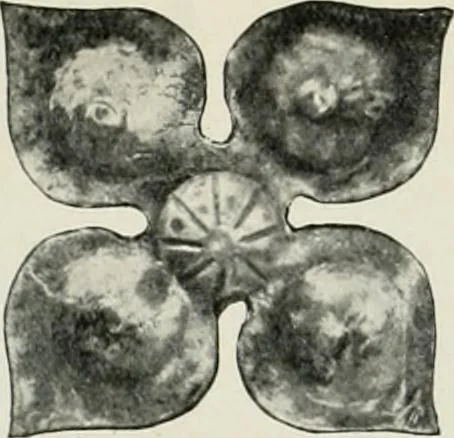 An illustration from International studio, 1897, leaf 147