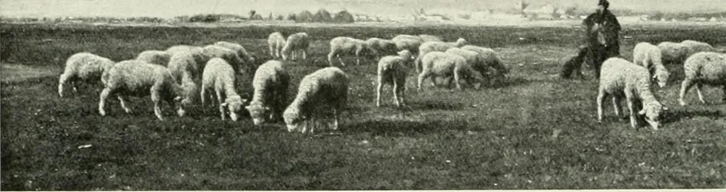 An illustration from International studio, 1897, leaf 164