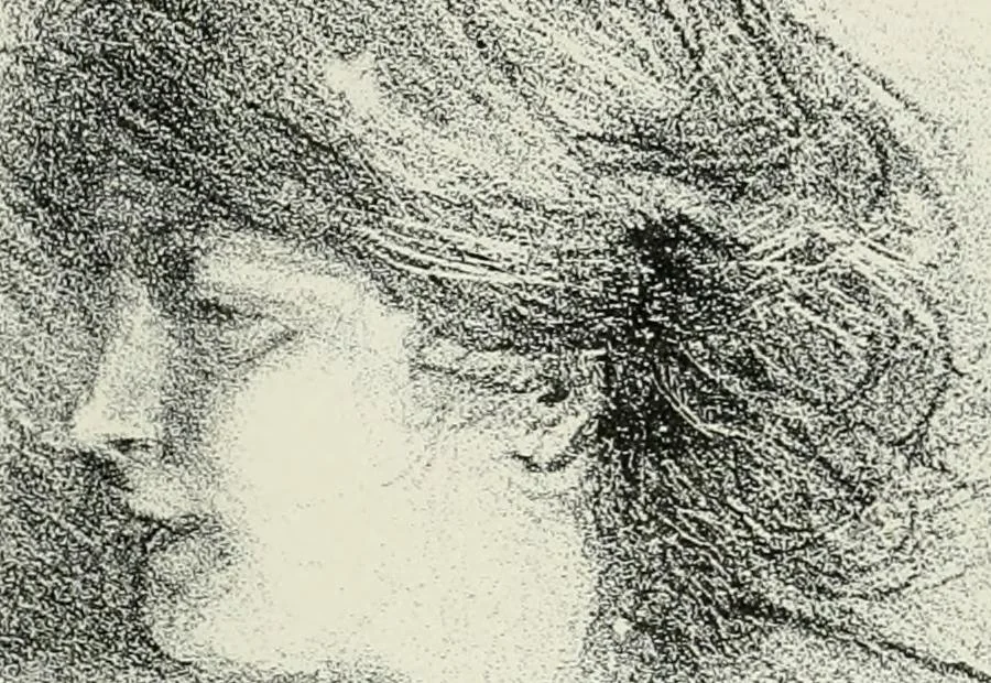 An illustration from International studio, 1897, leaf 165