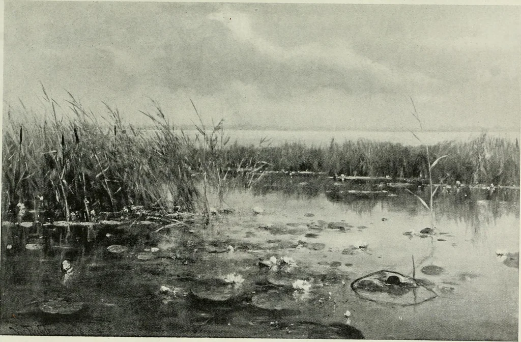 An illustration from International studio, 1897, leaf 201