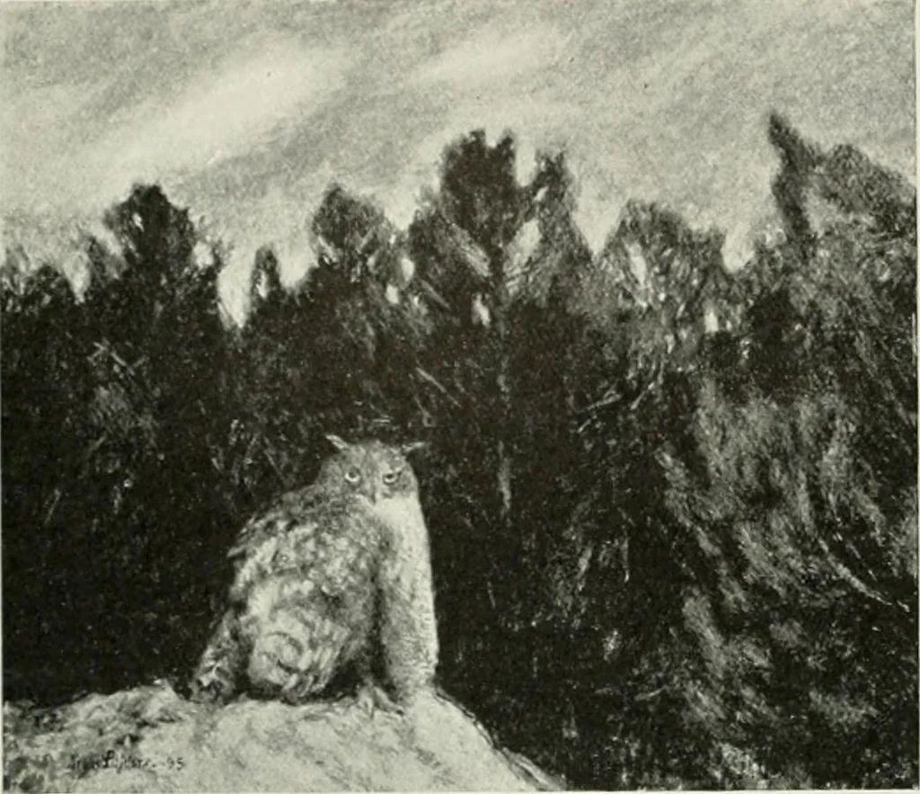 An illustration from International studio, 1897, leaf 204
