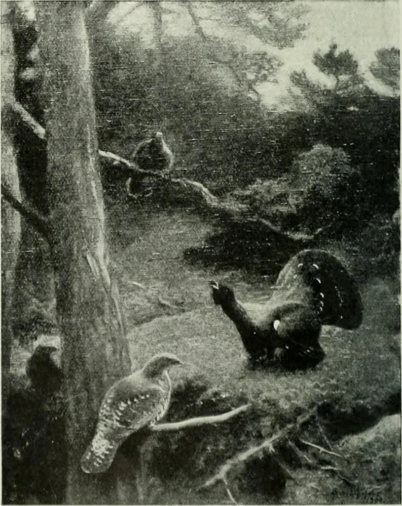 An illustration from International studio, 1897, leaf 204
