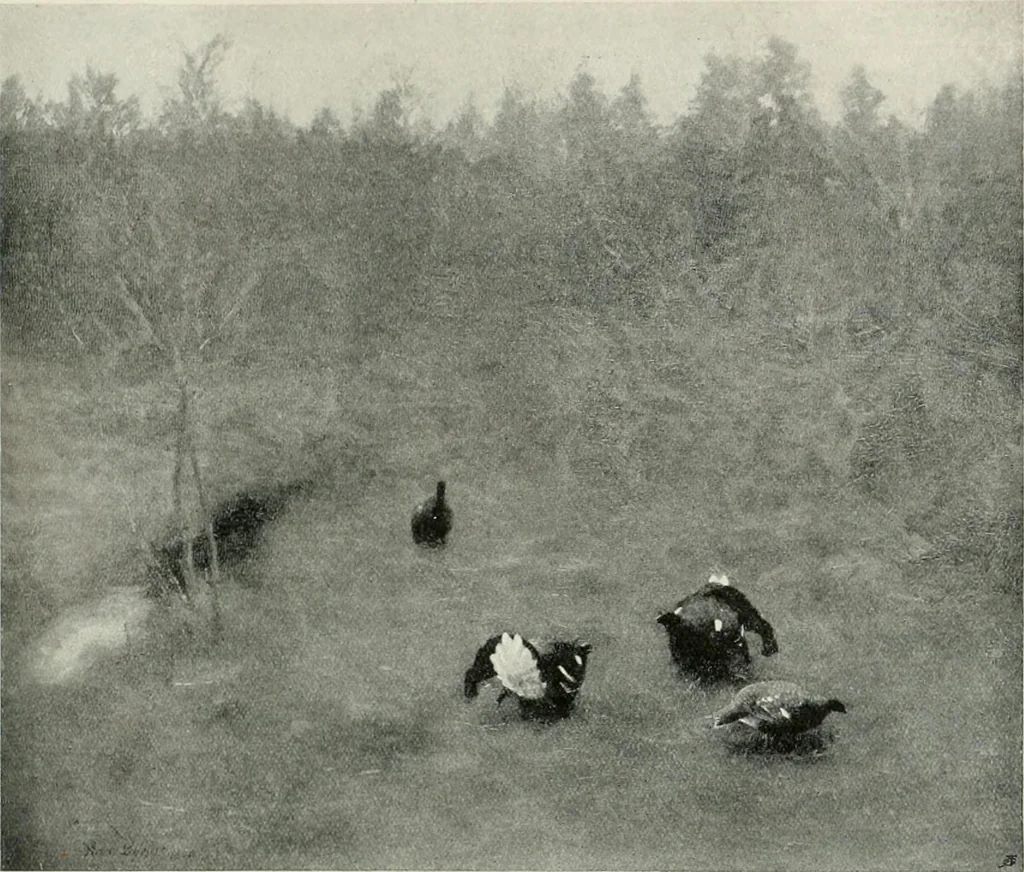 An illustration from International studio, 1897, leaf 205