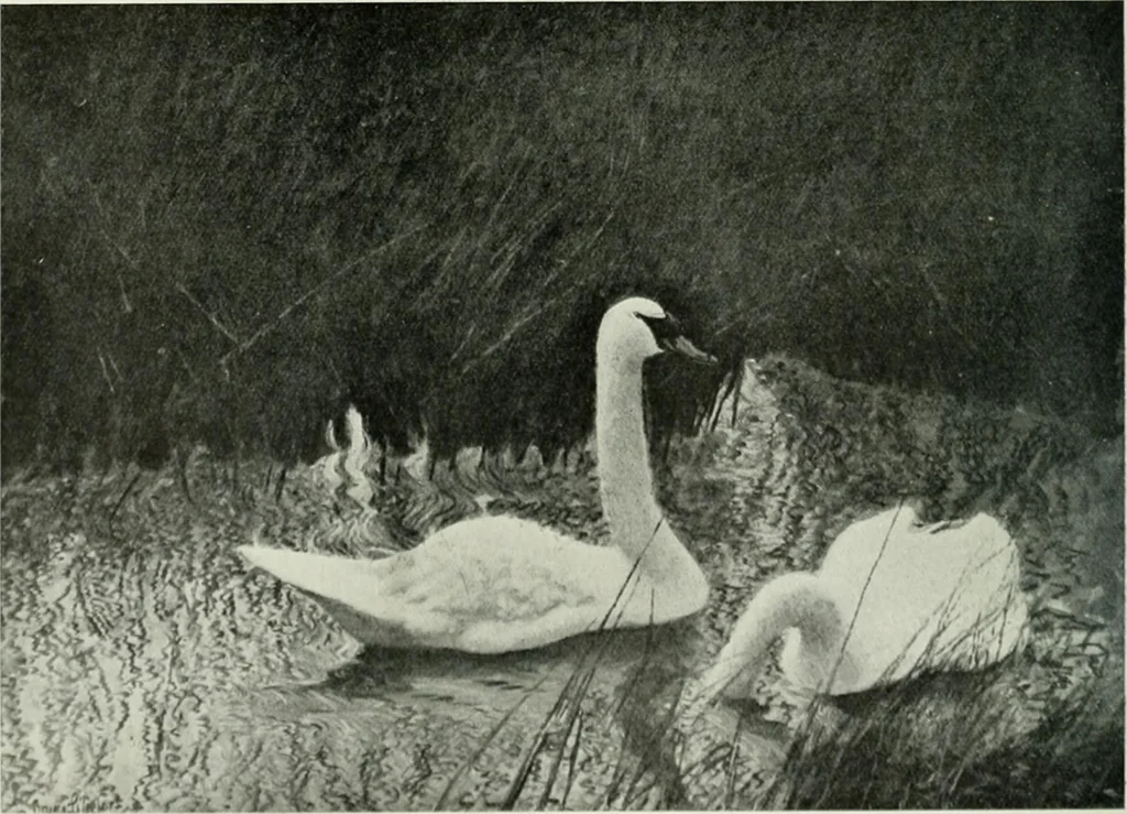 An illustration from International studio, 1897, leaf 208