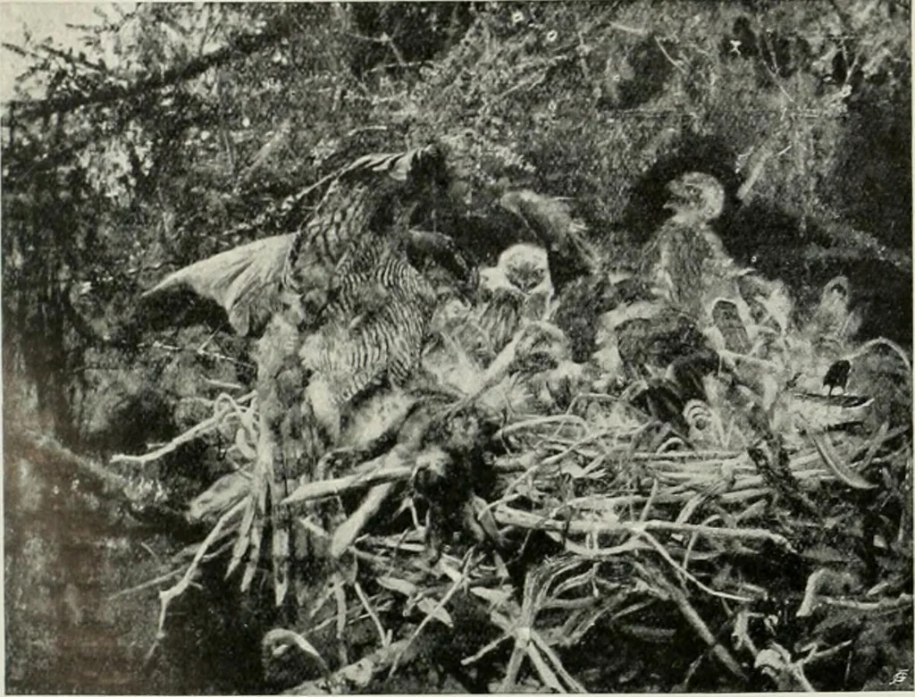 An illustration from International studio, 1897, leaf 209