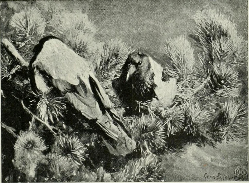 An illustration from International studio, 1897, leaf 209