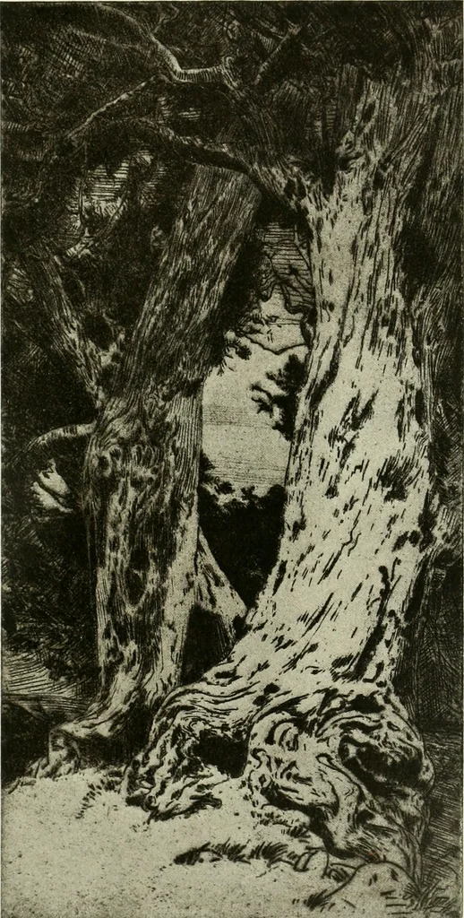 An illustration from International studio, 1897, leaf 229