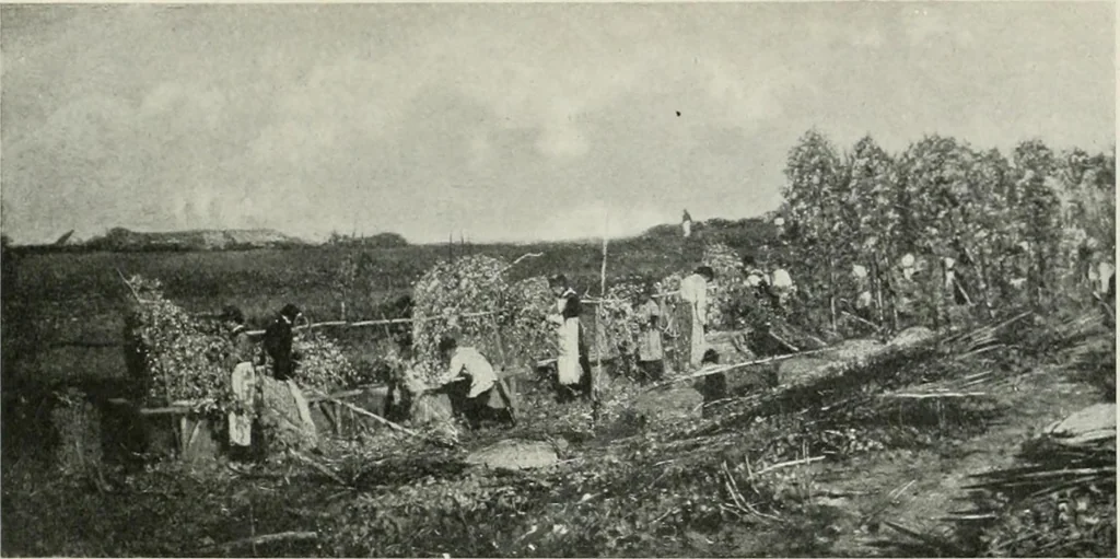 An illustration from International studio, 1897, leaf 305