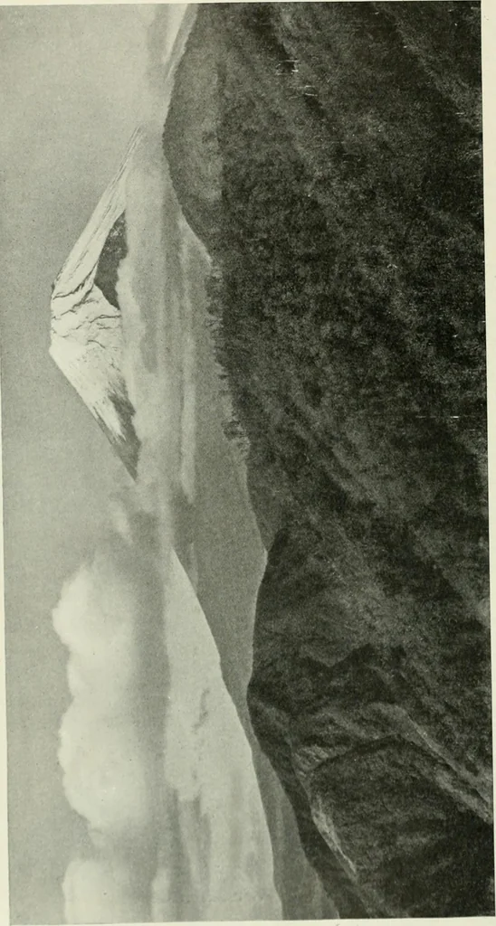 An illustration from International studio, 1897, leaf 336