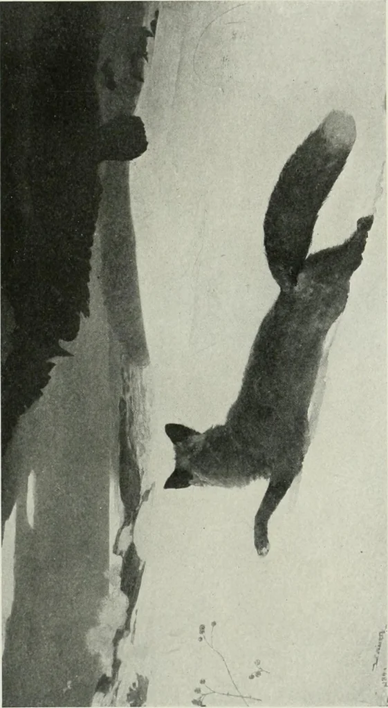 An illustration from International studio, 1897, leaf 491