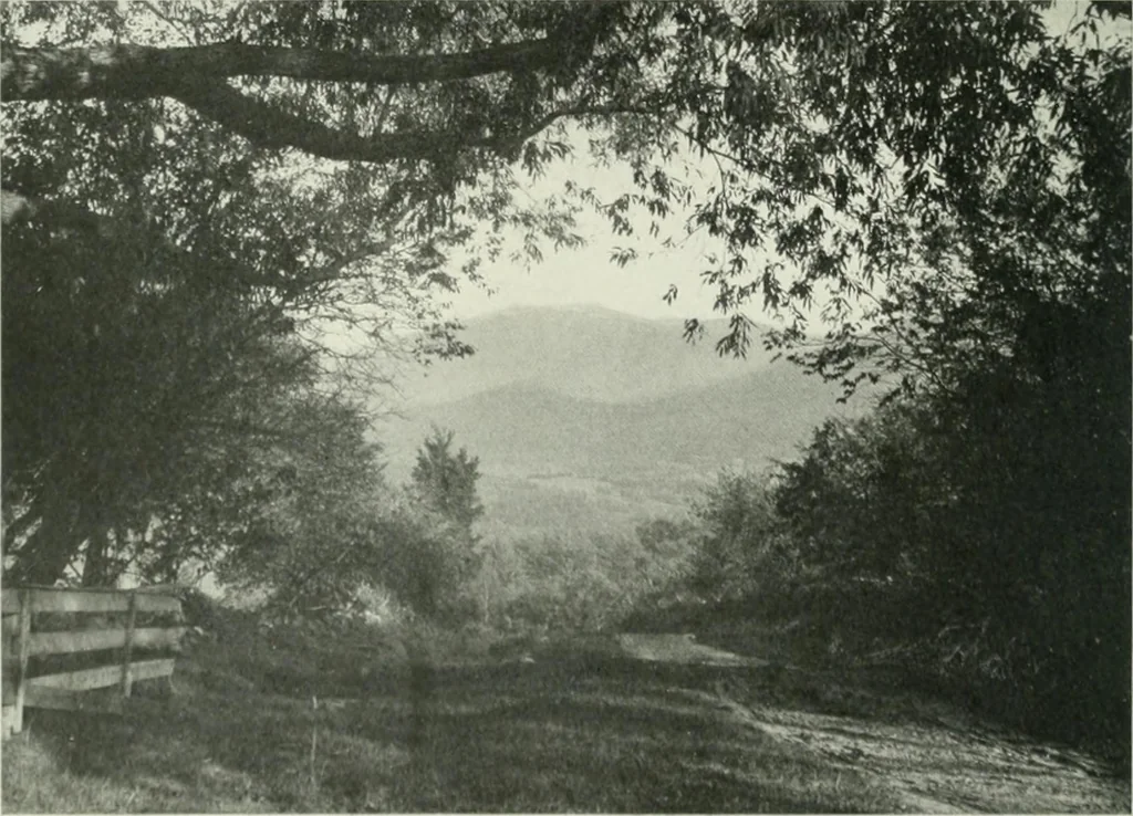 An illustration from International studio, 1897, leaf 512