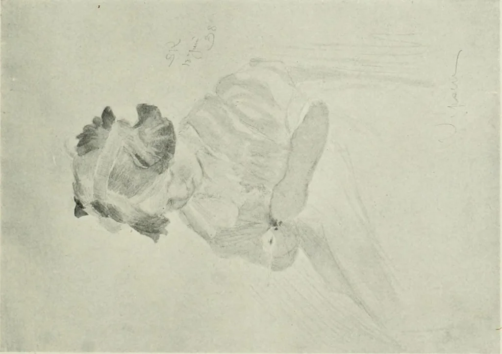 An illustration from International studio, 1897, leaf 53