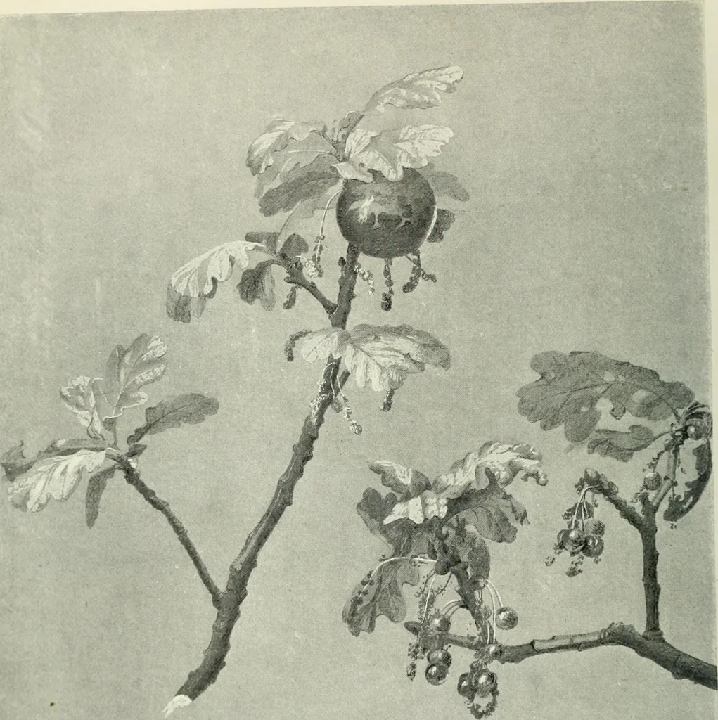 An illustration from International studio, 1897, leaf 62
