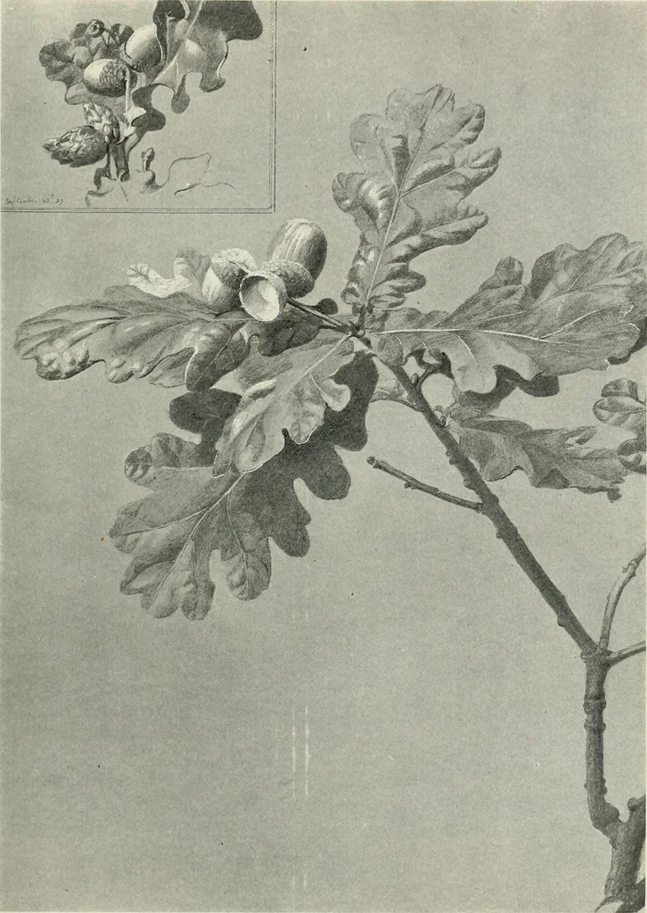 An illustration from International studio, 1897, leaf 63