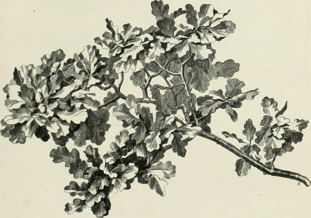 An illustration from International studio, 1897, leaf 65