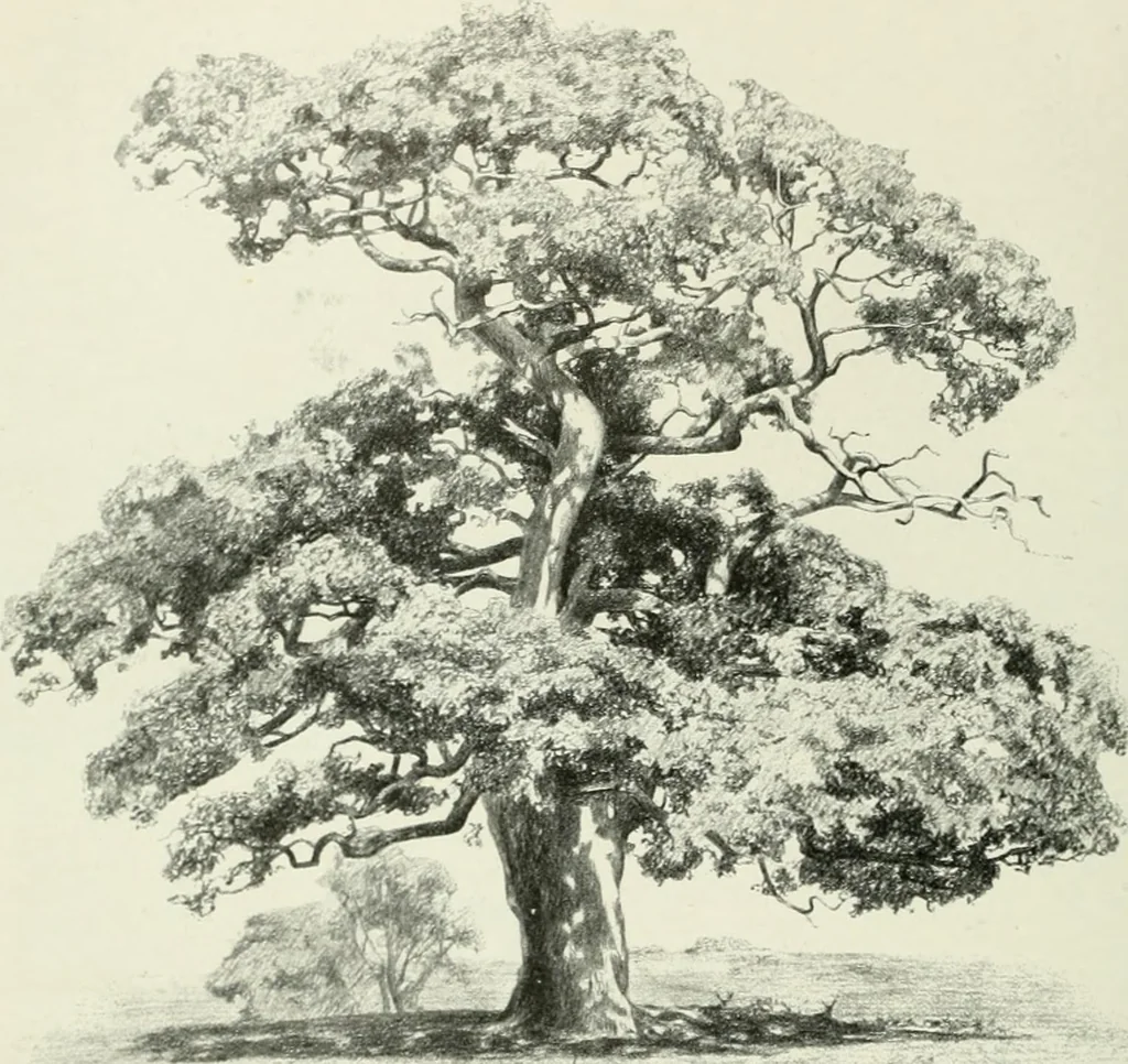 An illustration from International studio, 1897, leaf 66
