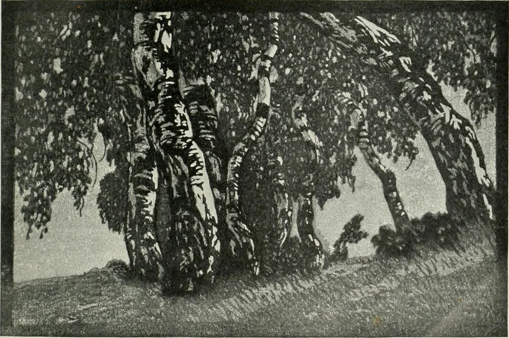 An illustration from International studio, 1897, leaf 93