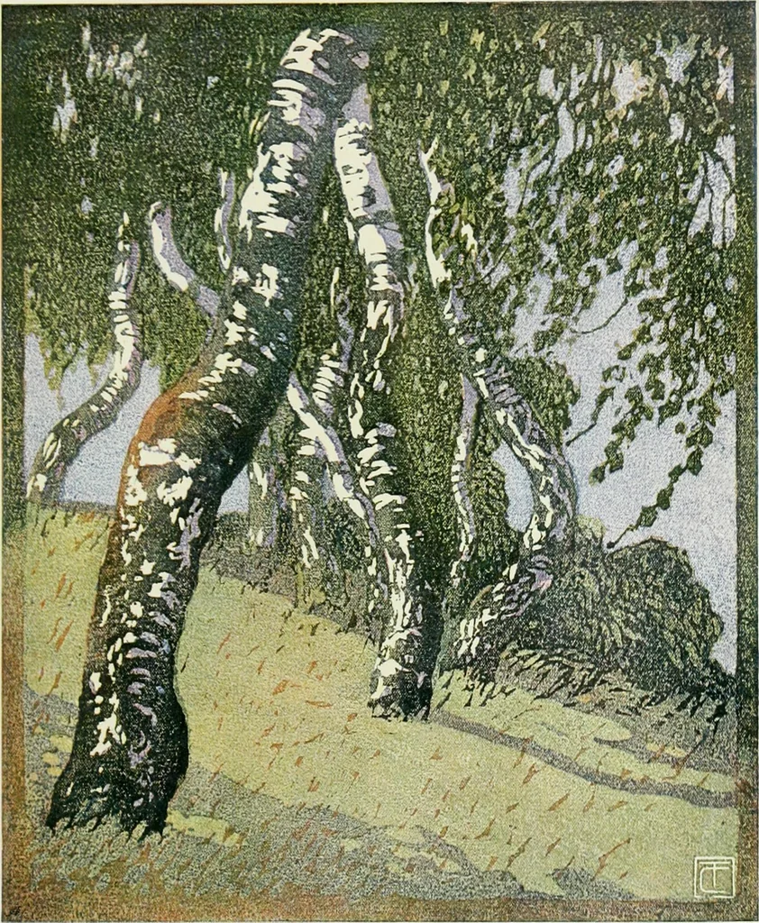 An illustration from International studio, 1897, leaf 95