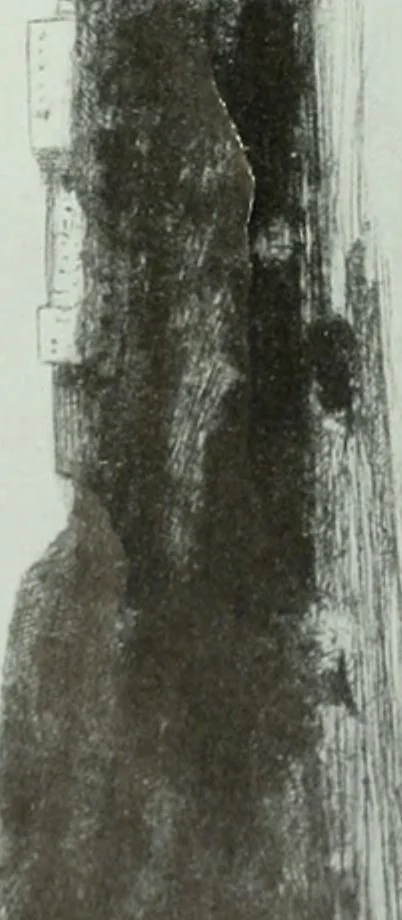 An illustration from International studio, 1897, leaf 140