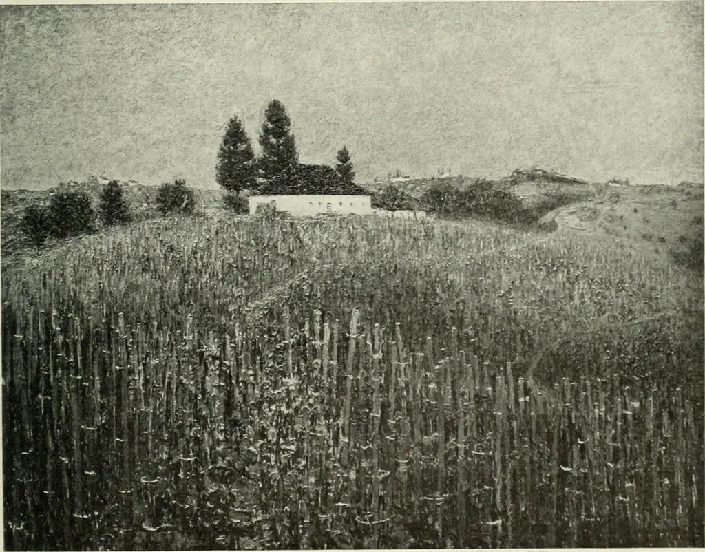 An illustration from International studio, 1897, leaf 217
