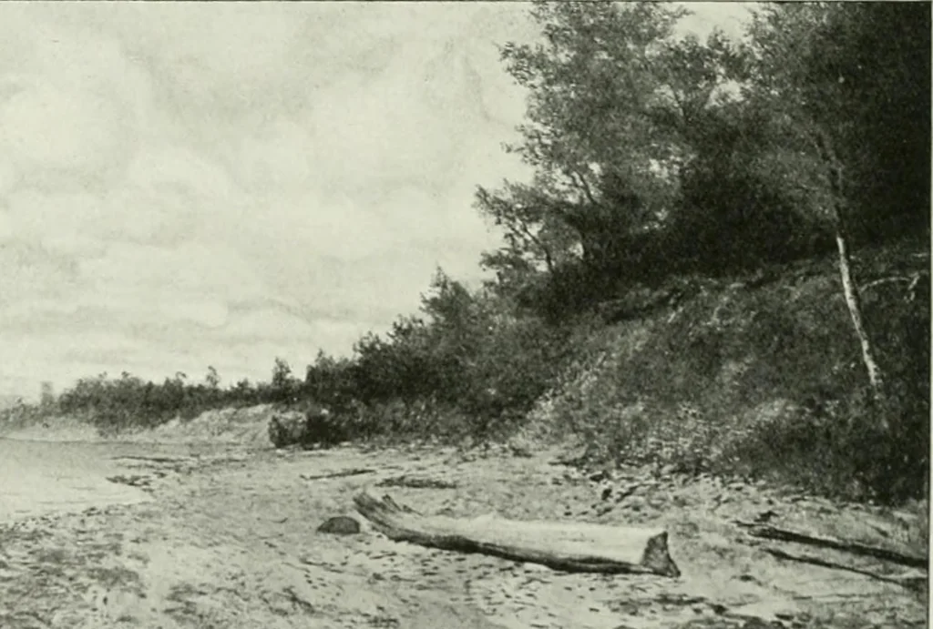 An illustration from International studio, 1897, leaf 372