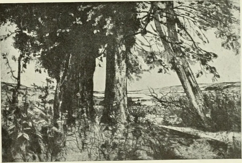 An illustration from International studio, 1897, leaf 391