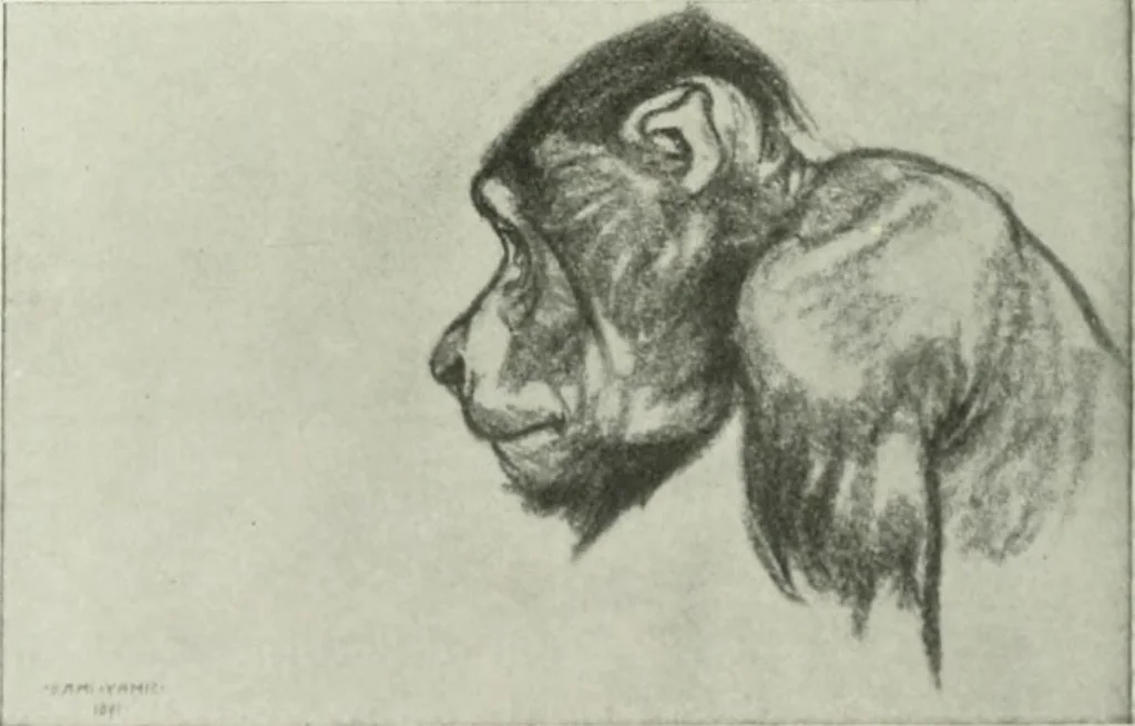 An illustration from International studio, 1897, leaf 428