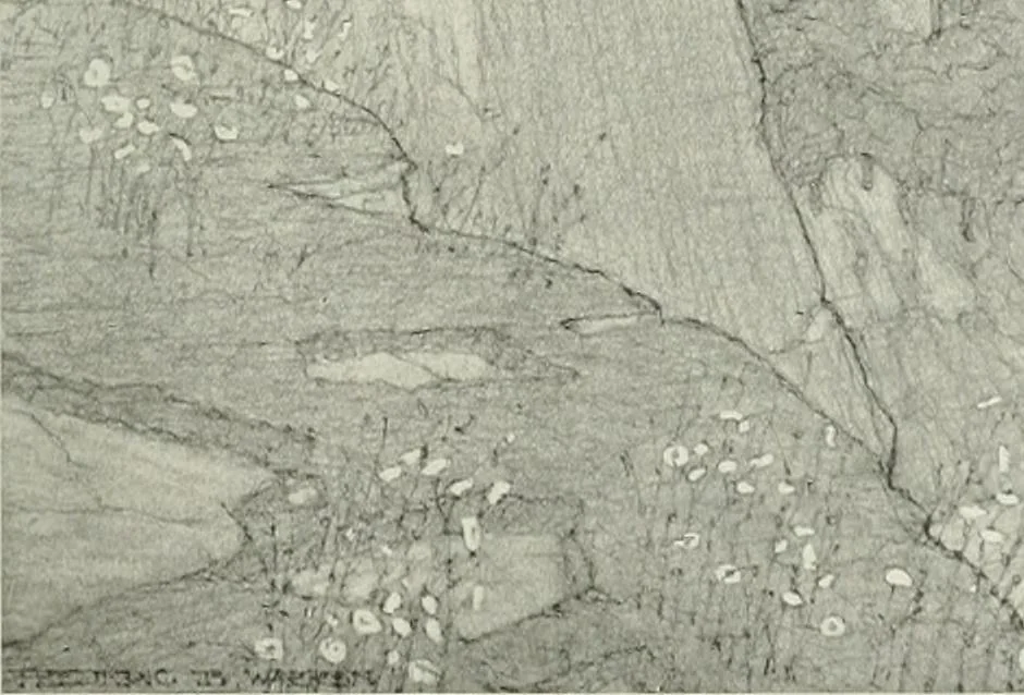 An illustration from International studio, 1897, leaf 451