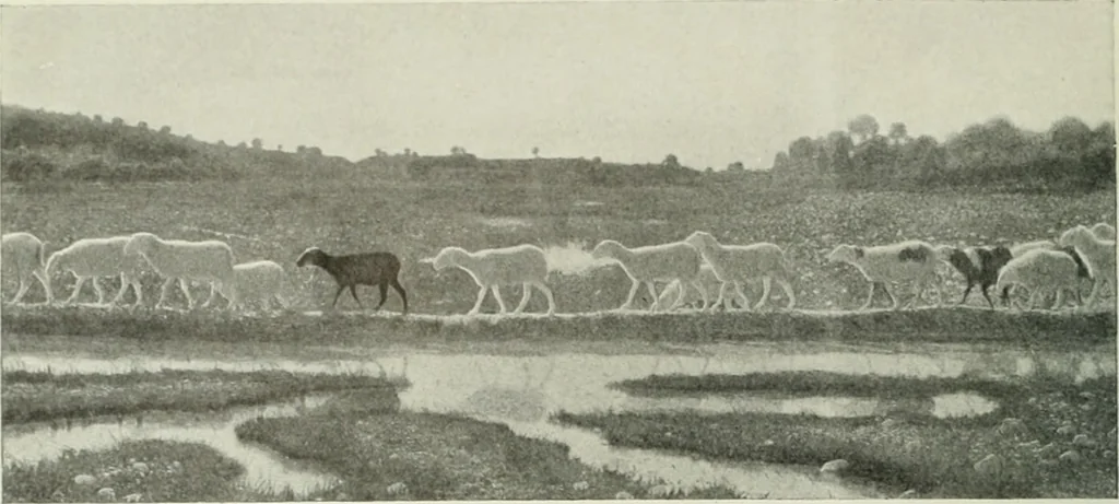An illustration from International studio, 1897, leaf 101