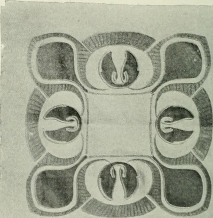 An illustration from International studio, 1897, leaf 105