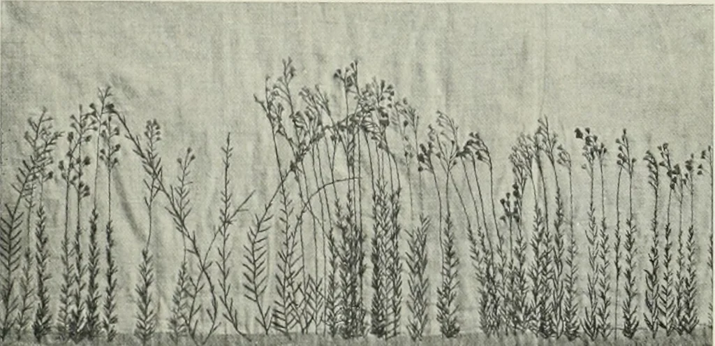 An illustration from International studio, 1897, leaf 106