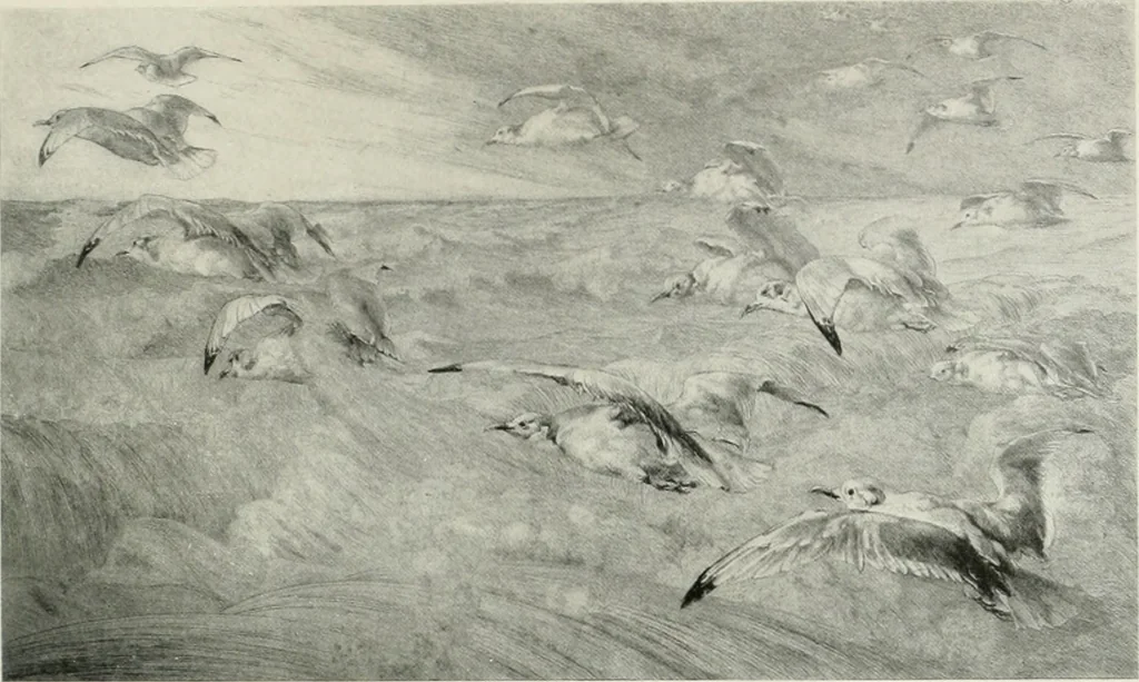 An illustration from International studio, 1897, leaf 158