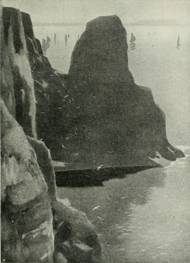 An illustration from International studio, 1897, leaf 194