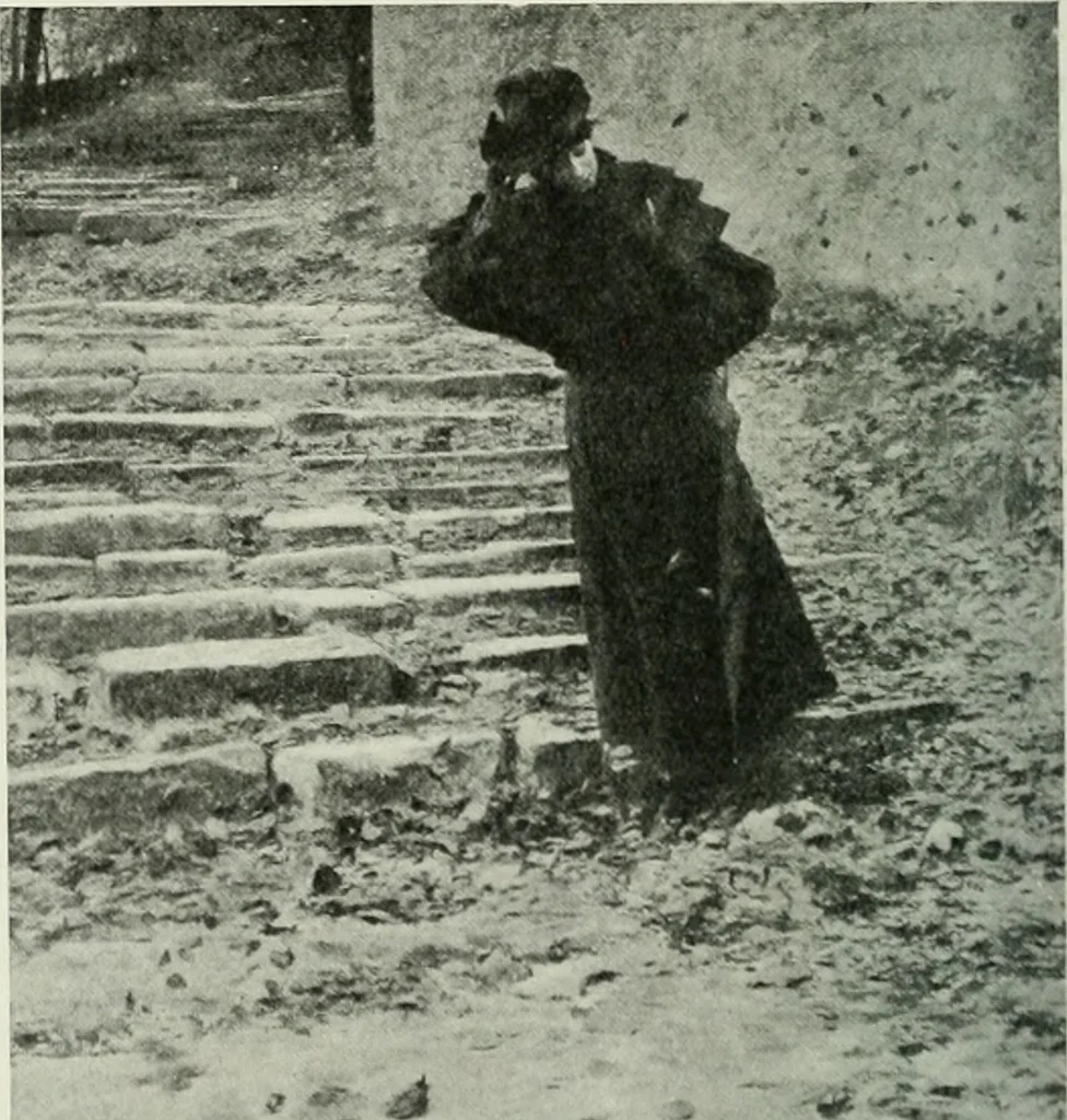 An illustration from International studio, 1897, leaf 233