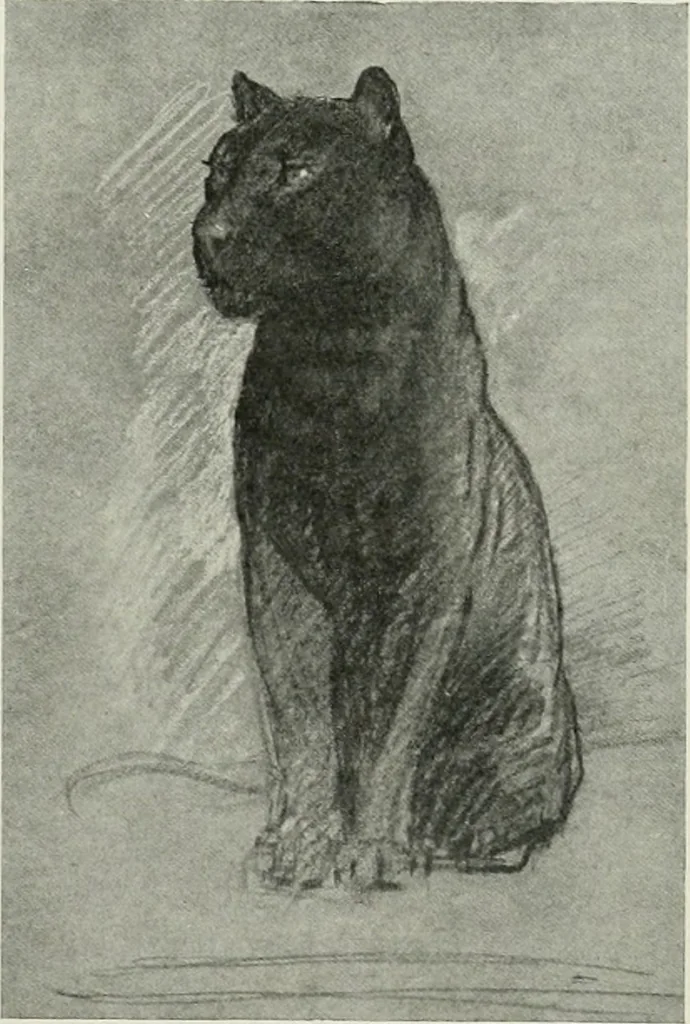 An illustration from International studio, 1897, leaf 236