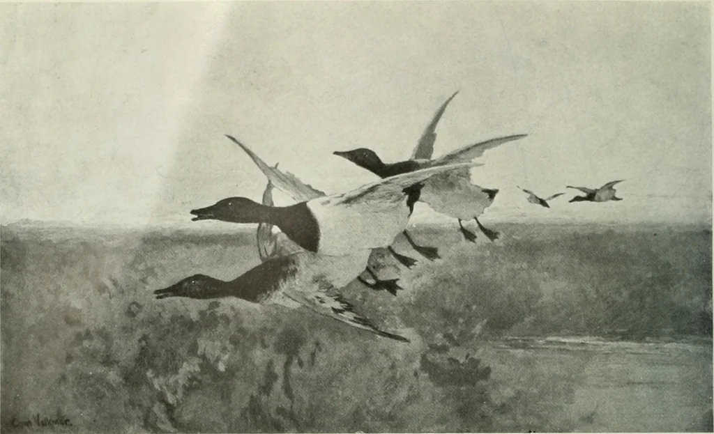 An illustration from International studio, 1897, leaf 265