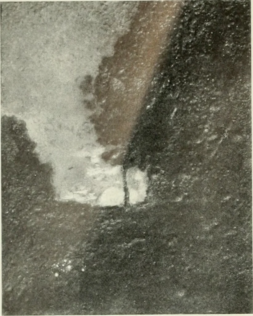 An illustration from International studio, 1897, leaf 267