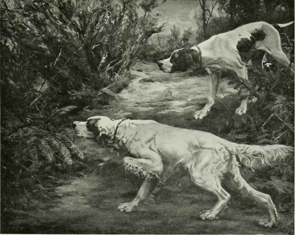 An illustration from International studio, 1897, leaf 270