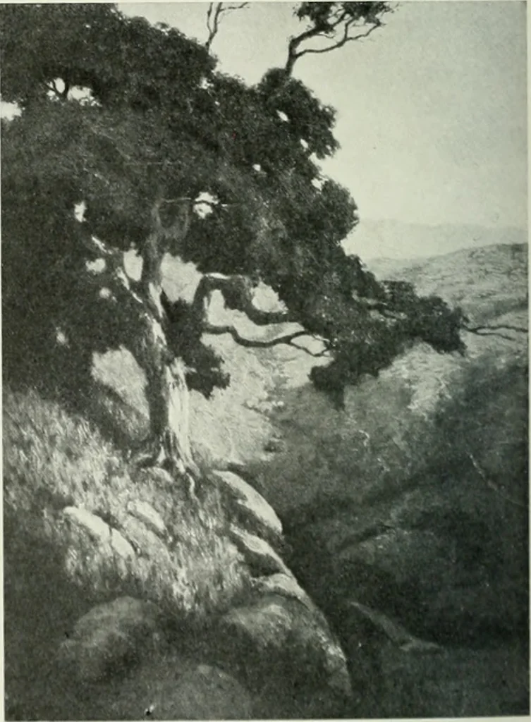 An illustration from International studio, 1897, leaf 369