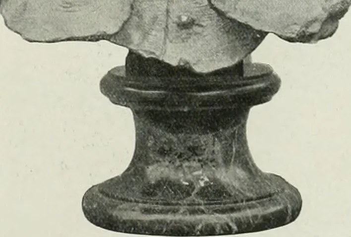 An illustration from International studio, 1897, leaf 394