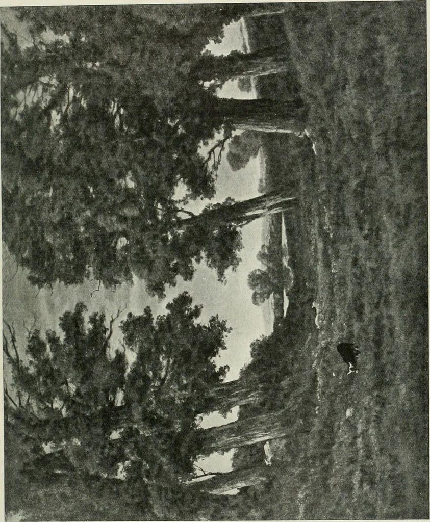 An illustration from International studio, 1897, leaf 404
