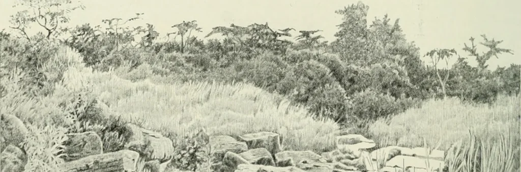 An illustration from International studio, 1897, leaf 83