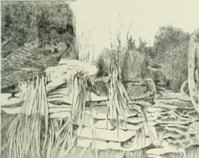 An illustration from International studio, 1897, leaf 83