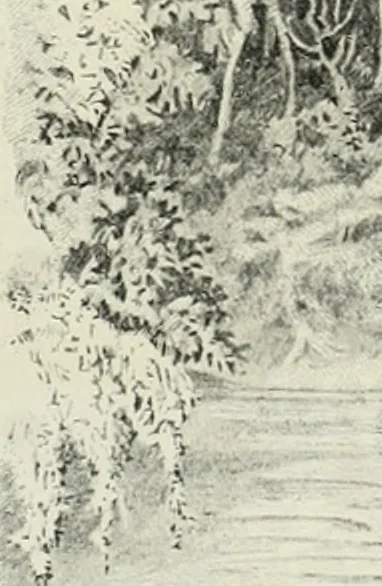 An illustration from International studio, 1897, leaf 86